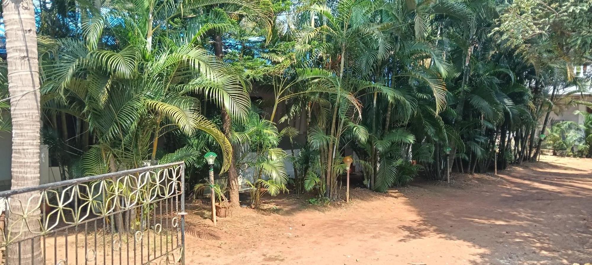 Casa Beach Hut Resort 팔로렘 외부 사진