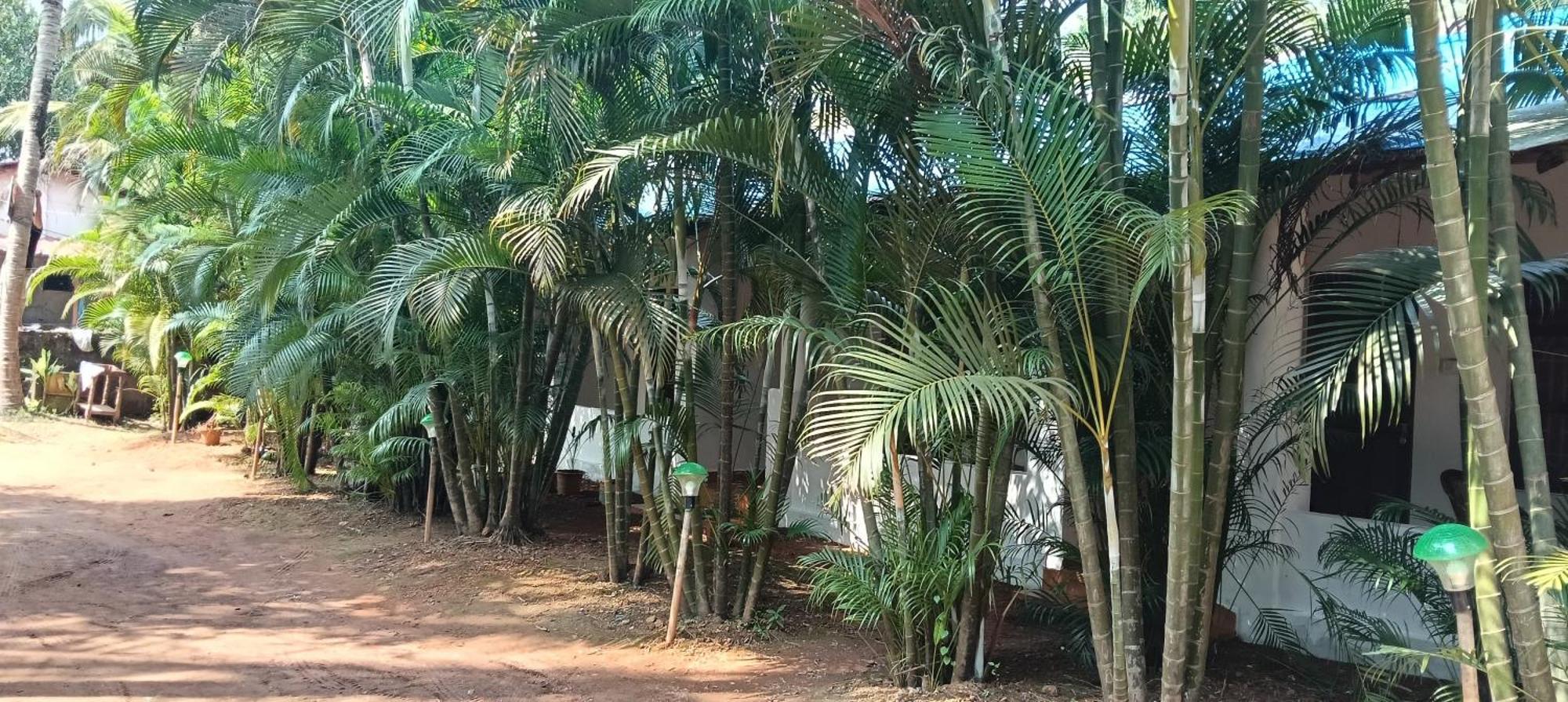 Casa Beach Hut Resort 팔로렘 외부 사진