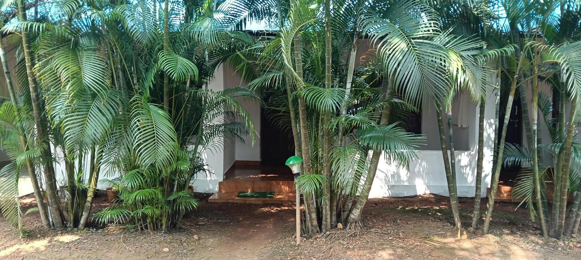 Casa Beach Hut Resort 팔로렘 외부 사진